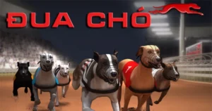 Bật Mí Cách Chơi Đua Chó FB88 Thắng Lớn Sau 5 Phút Đọc Bài 1 Bật Mí Cách Chơi Đua Chó FB88 Thắng Lớn Sau 5 Phút Đọc Bài